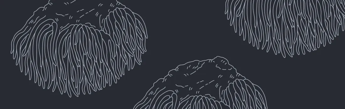 Nurolift Visual Identity