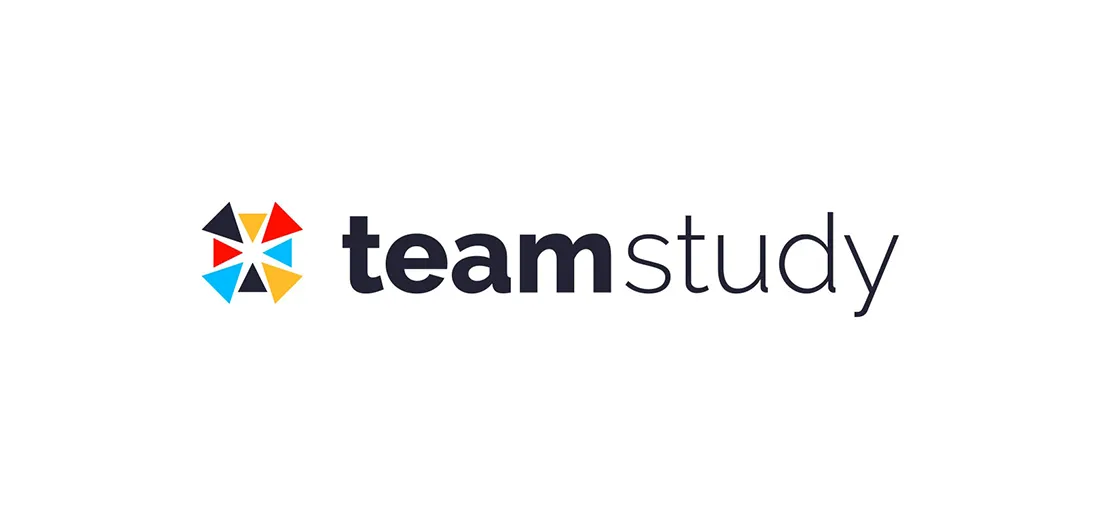 Team Study Visual Identity